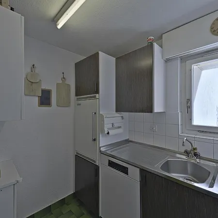 Apartment In The Heart Of Celerina With Garden
