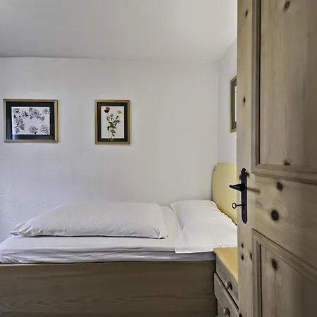 In The Heart Of Celerina With Garden Apartment