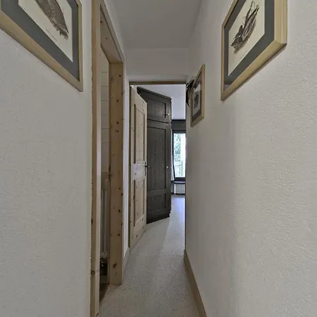 Apartment In The Heart Of Celerina With Garden *