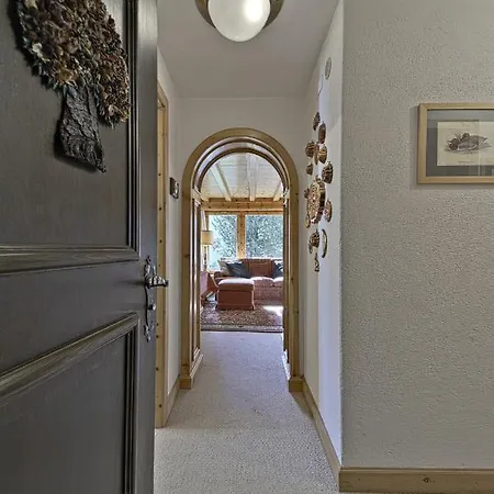 In The Heart Of Celerina With Garden Apartment