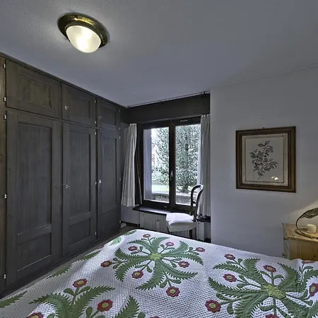 In The Heart Of Celerina With Garden Apartment
